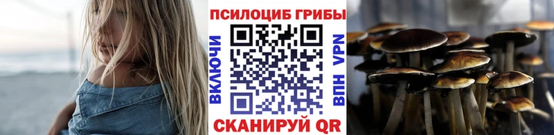 Галлюциногенные грибы Cubensis Белёв