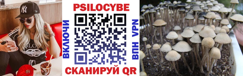 Псилоцибиновые грибы Cubensis  shop официальный сайт  Белёв 